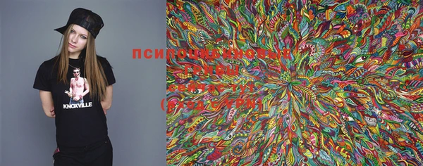 прущая мука Козельск