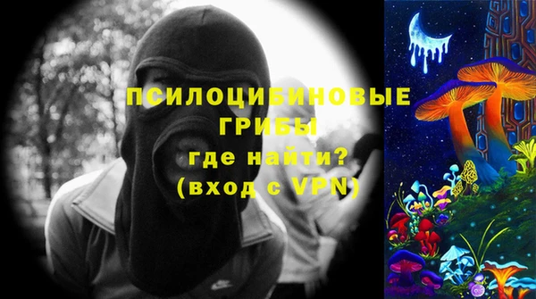 mdpv Козловка