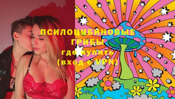 mdpv Козловка