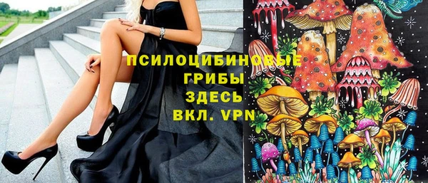 mdpv Козловка