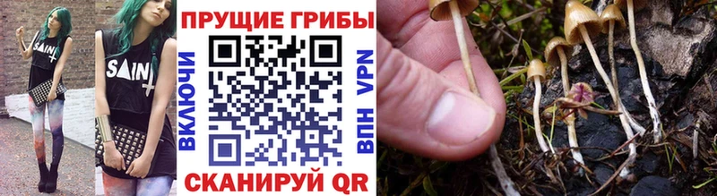 купить наркотики сайты  omg ссылки  Галлюциногенные грибы MAGIC MUSHROOMS  Чайковский 