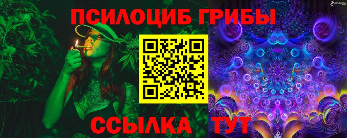 Псилоцибиновые грибы прущие грибы  Псилоцибиновые грибы мицелий  Чайковский  Вход с VPN 