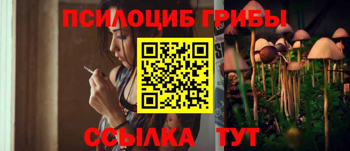 Галлюциногенные грибы мухоморы  Чайковский  Галлюциногенные грибы GOLDEN TEACHER 