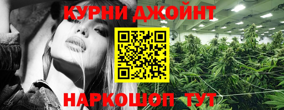 Каннабис SATIVA & INDICA Чайковский